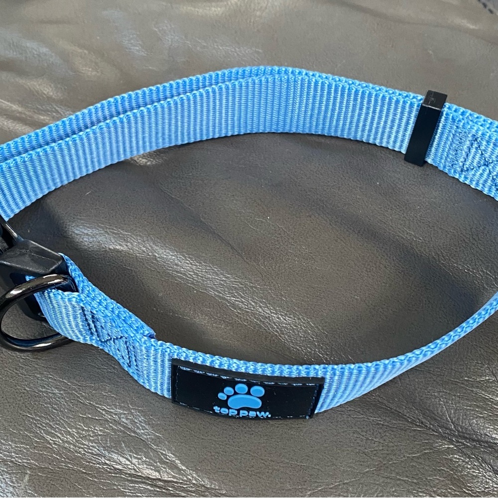 Dog collar large